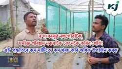 Unseasoned Farming in Polihouse & Green house