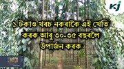 ১ টকাও খৰচ নকৰাকৈ এই খেতি কৰক আৰু ৩০-৩৫ বছৰলৈ উপাৰ্জন কৰক