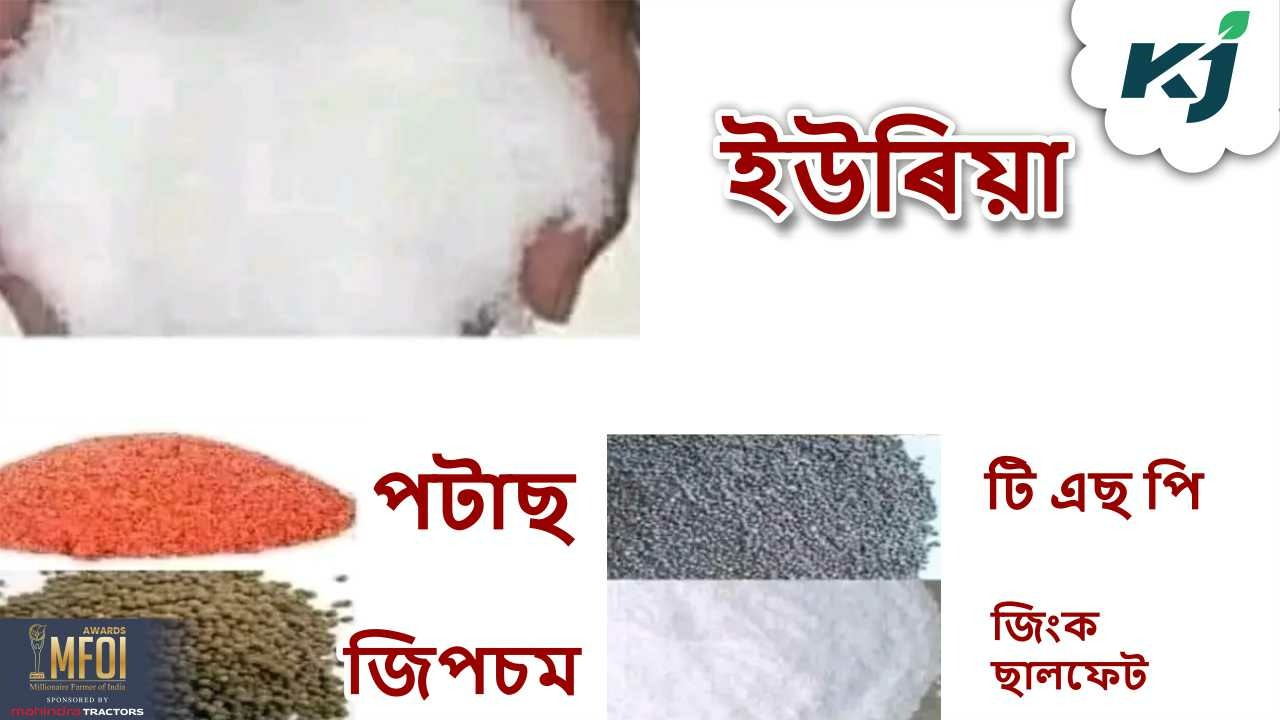 Character Of Chemical Fertilizer