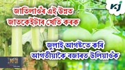  Hybrid variety of battle gourd : জুলাই আগষ্টতে কৰি আগতীয়াকৈ বজাৰত উলিয়াওঁক