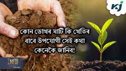 What is Soil Health Testing ! & its benefit