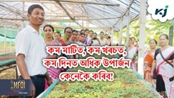 How to earn more on less land, at less cost, in less days!