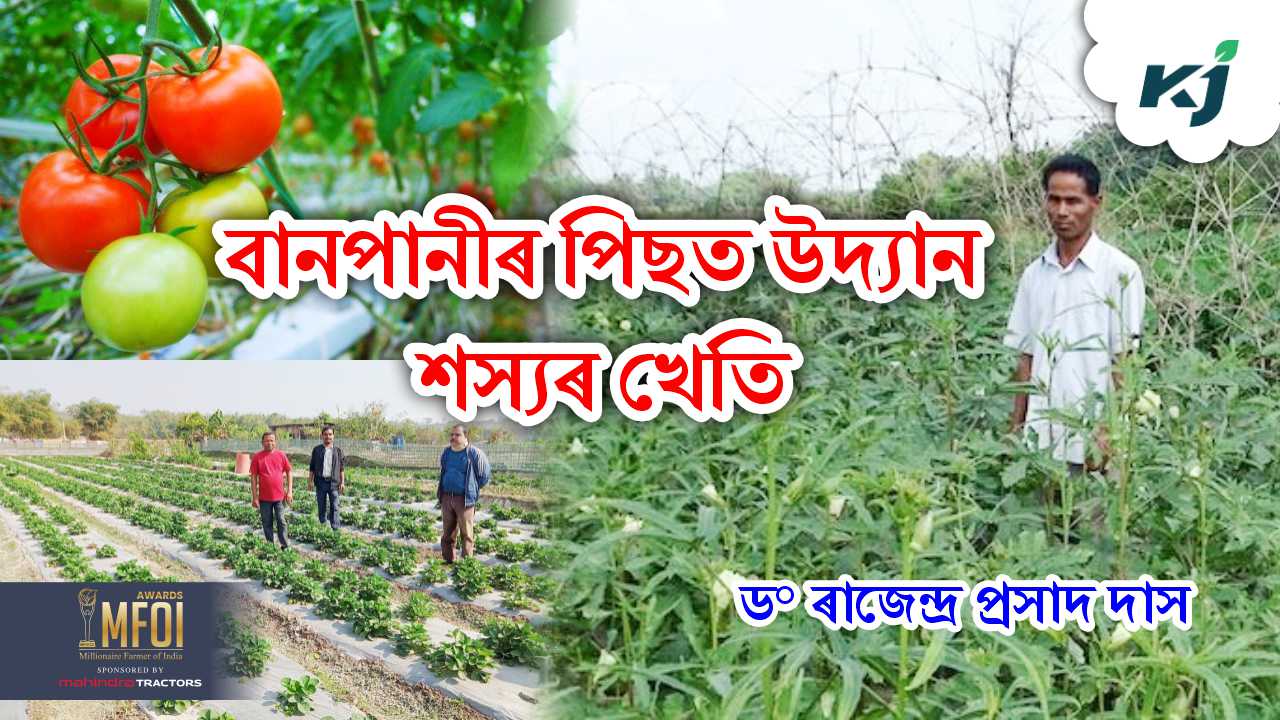 After flood do this  farming in Assam