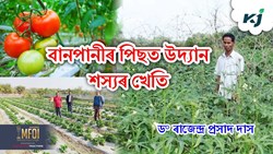After flood do this  farming in assam