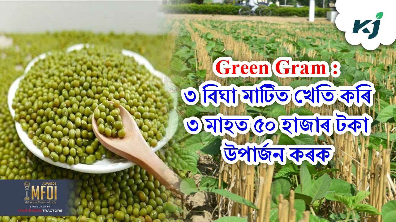 Green Gram Farming A to Z