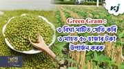 Green Gram : ৩ বিঘা মাটিত খেতি কৰি ৩ মাহত ৫০ হাজাৰ টকা উপাৰ্জন কৰক