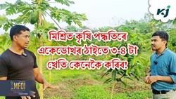 Mixed Farming Tips & Benefit