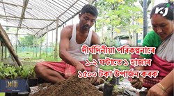 How can You earn 1000 to 1500 hundred in 1-2 hours