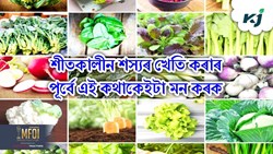 Consider these points before planting winter crops