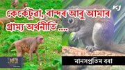 Monkey and Squirrel Problem: কেৰ্কেটুৱা ,বান্দৰ আৰু আমাৰ গ্ৰাম্য অৰ্থনীতি ....