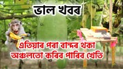 এতিয়াৰ পৰা বান্দৰ উপদ্ৰৱ থকা অঞ্চলতো কৰিব পাৰিব খেতি
