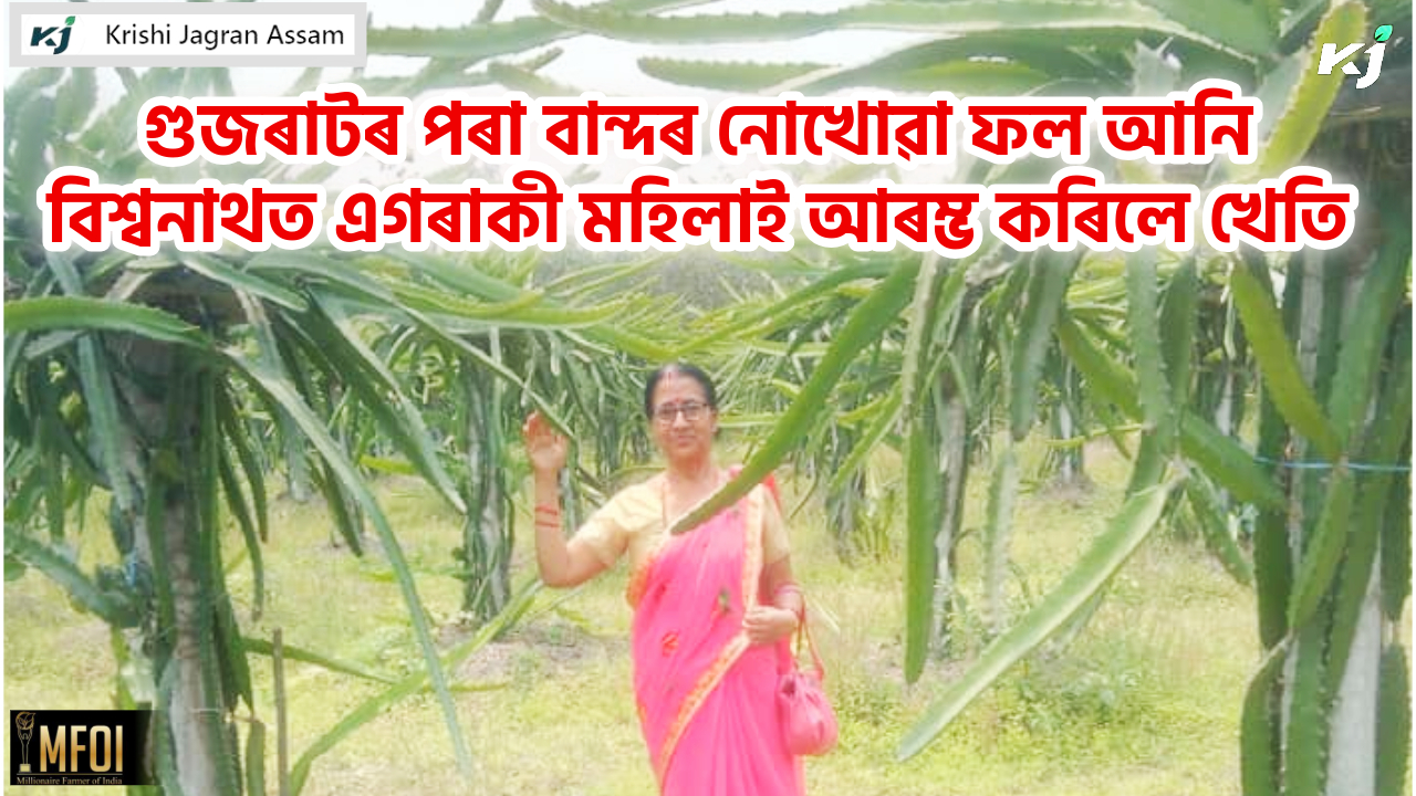 Success story of  Woman Farmer Jayanti Devi