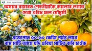 Mosambi Farming:  দুবছৰত ফল লাগে আৰু এজোপাত ৫০-৬০ কেজি পৰ্যন্ত 