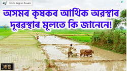 Double Cropping Farming Challenge & Solution