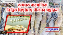 Prawn Farming  : ব্যৱসায়িক ভিত্তিত মিছামাছ পালন  আৰু ইয়াৰ লাভালাভ
