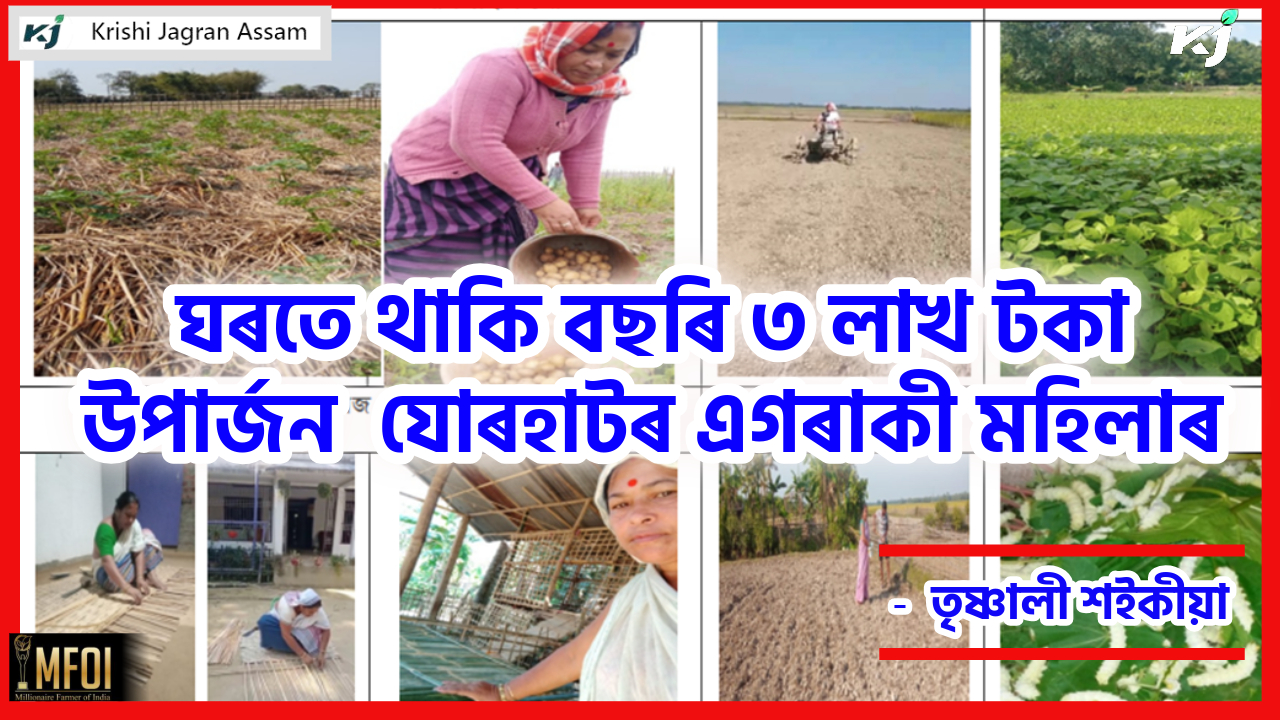 The story of an ideal woman farmer and social worker in Jorhat