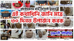 Mushroom farming For Housewives