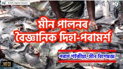 Scientific advice on fish farming