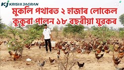 Local Murgi Farming System
