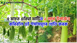 Cultivate this crop between January  to April