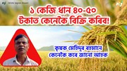 Certified Paddy Seeds Production : প্ৰমাণিত ধানৰ বীজ উৎপাদন কৰি সফল শিৱসাগৰ কৃষক