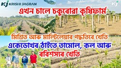 A beautiful Agri Farm of Hojai