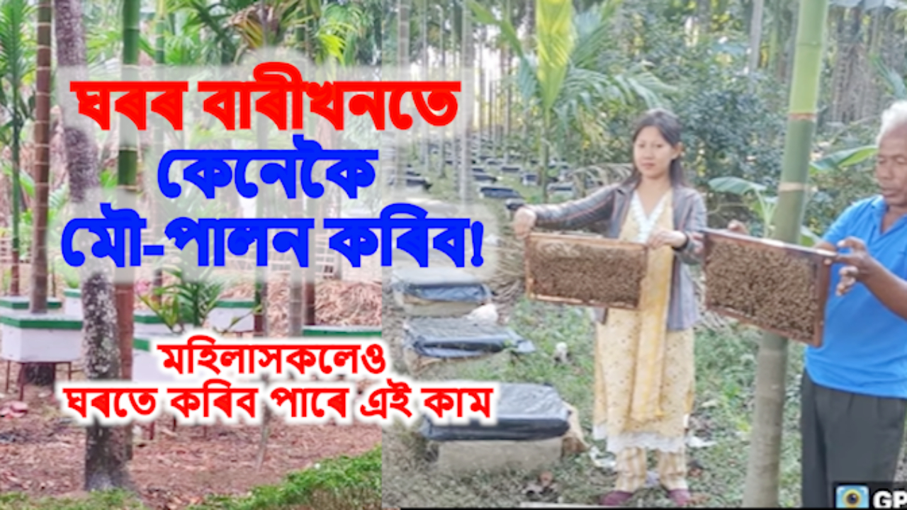 Apiculture in Assam