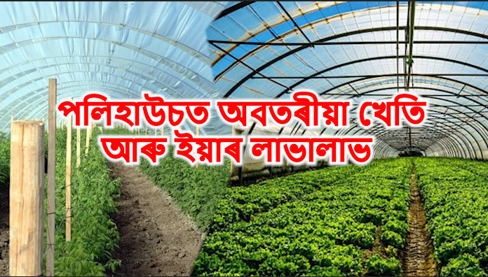 Un session Farming in Polyhouse & its benefit