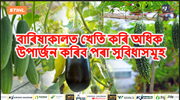  Monsoon season Farming : বাৰিষাকালত খেতি কৰি অধিক উপাৰ্জন কৰিব পৰা সুবিধাসমূহ