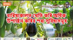 The advantages of farming during the monsoon season for higher income