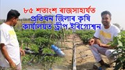 ৮৫ শতাংশ ৰাজসাহাৰ্যত প্ৰতিখন জিলাৰ কৃষি কাৰ্যালয়ত ড্ৰীপ ইৰিগ্যেশ্বন