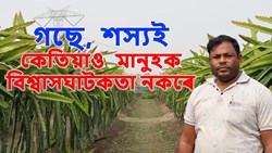 Trees and crops never betray humans.