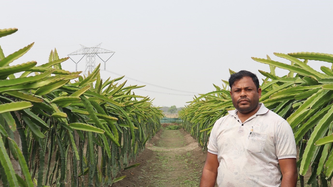 Akbari ali in his Dragon Farm