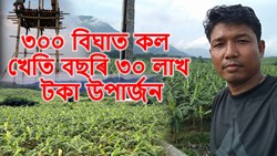 An Assam Farmer Turned Banana Farming into a Rs 30 Lakh-a-Year Business