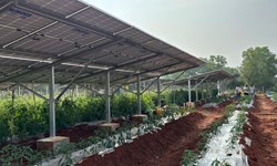 The Promise of FPO-led Agrivoltaics for India’s Rural Economy