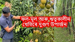 How to Double Your Income with Fruit & Seasonal Crops!