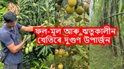 ফল-মূল আৰু ঋতুকালীন খেতিৰে দুগুণ উপাৰ্জন