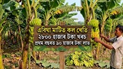 ২৮০০ হাজাৰ টকা খৰচ কৰি প্ৰথম বছৰত ৯০ হাজাৰ টকা উপাৰ্জন কৰক