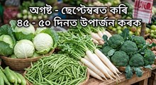 অগষ্ট - ছেপ্টেম্বৰত কৰি ৪৫ - ৫০ দিনত উপাৰ্জন কৰক