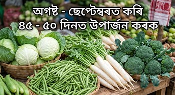 অগষ্ট - ছেপ্টেম্বৰত কৰি ৪৫ - ৫০ দিনত উপাৰ্জন কৰক
