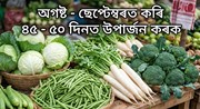 অগষ্ট - ছেপ্টেম্বৰত কৰি ৪৫ - ৫০ দিনত উপাৰ্জন কৰক