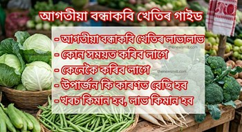 আগতীয়া বন্ধাকবি খেতিৰ লাভালাভ