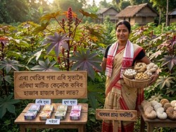 A Low-Investment, High-Return Cottage Industry in Assam