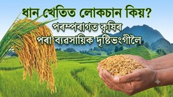 Three Structural Shifts Needed for Assam's Paddy Farmers