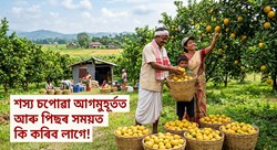 Pre-Harvest Marketing and Post-Harvest Management