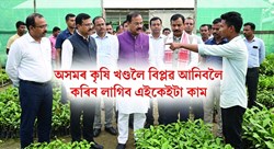 Key Focus Areas for Transforming Assam's Farming Sector