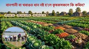 বানপানী বা খৰাঙত ধান নষ্ট হ’লে কৃষকসকলে কি কৰিব?