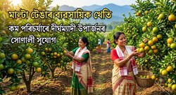 A Smart and Highly Profitable Long-Term Farming Option for Farmers