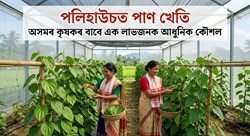 A High-Profit Modern Farming Technique for Farmers
