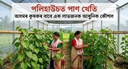 অসমৰ কৃষকৰ বাবে এক লাভজনক আধুনিক কৌশল